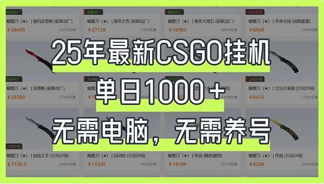 图片[1]-25年最新CSGO挂机系统，单日1000+，无需电脑，无需养号，0基础可上手-E六资源