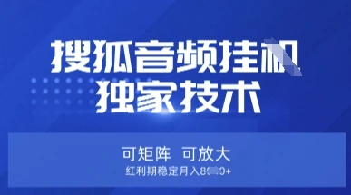 图片[1]-【搜狐音频挂G】独家技术，可矩阵可放大，红利期稳定月入8k-E六资源