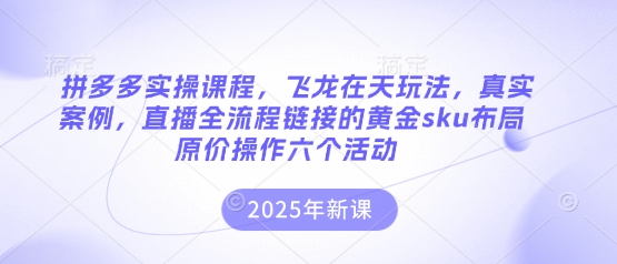 拼多多实操课程，飞龙在天玩法，真实案例，直播全流程链接的黄金sku布局原价操作六个活动-E六资源