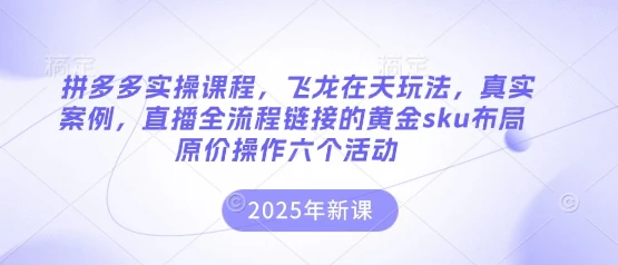 图片[1]-拼多多实操课程，飞龙在天玩法，真实案例，直播全流程链接的黄金sku布局原价操作六个活动-E六资源