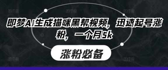 即梦AI生成猫咪黑帮视频，迅速起号涨粉，一个月5k-E六资源