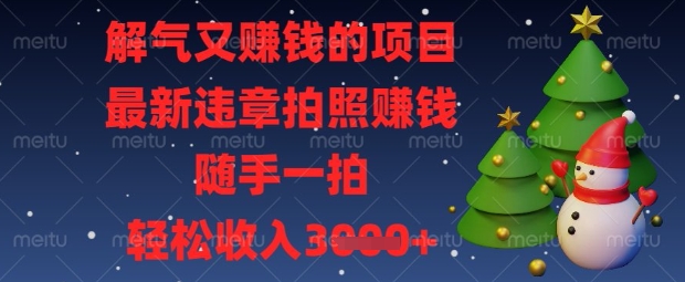 解气又挣钱的项目，最新违章拍照挣钱，随手一拍，轻松收入数张-E六资源