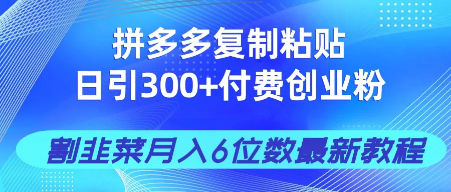 图片[1]-拼多多复制粘贴日引300+付费创业粉，割韭菜月入6位数最新教程！-E六资源
