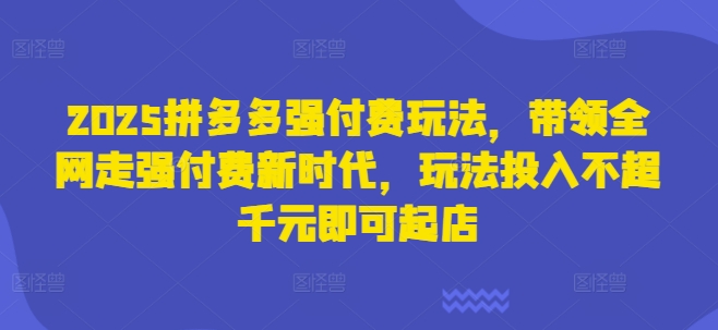 2025拼多多强付费玩法，带领全网走强付费新时代，玩法投入不超千元即可起店-E六资源