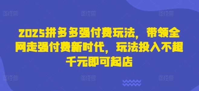 图片[1]-2025拼多多强付费玩法，带领全网走强付费新时代，玩法投入不超千元即可起店-E六资源