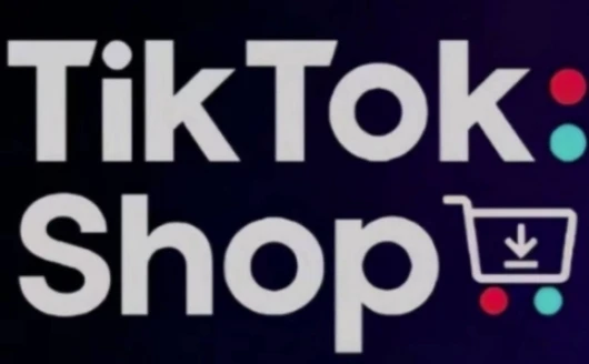 图片[1]-TikTokShop跨境电商0-1实战，手把手教你低成本启动海外市场-E六资源