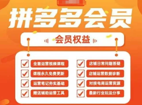 图片[1]-2025拼多多运营实战课，40节全流程教学，覆盖拼多多运营全链路-E六资源