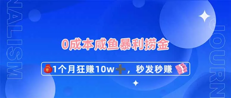 图片[1]-0成本闲鱼暴利捞金，1个月狂赚10W+，秒发秒赚新玩法-E六资源