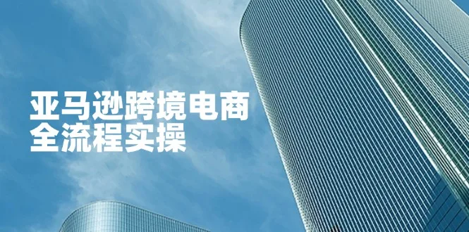 图片[1]-亚马逊跨境电商全流程实操，教你从零开始，掌握店铺运营与广告技巧-E六资源