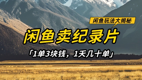 闲鱼卖纪录片1单3块钱，1天几十单，项目稳定有潜力-E六资源