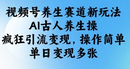 图片[1]-视频号养生赛道新玩法，AI古人养生操，疯狂引流变现，操作简单，单日变现多张-E六资源