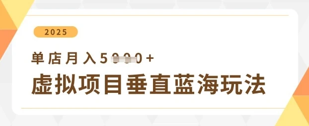 图片[1]-虚拟项目垂直玩法，实现单店月入5k+-E六资源