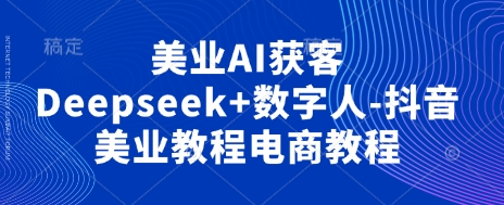 美业AI获客Deepseek+数字人-抖音美业教程电商教程-E六资源