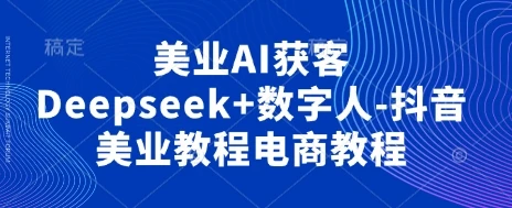 图片[1]-美业AI获客Deepseek+数字人-抖音美业教程电商教程-E六资源