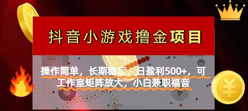 【抖音小游戏发行人计划项目】操作简单，长期稳定，日盈利500+，可工作…-E六资源