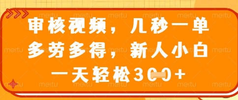 最新审核视频，几秒一单，多劳多得，新人小白一天轻松3张-E六资源