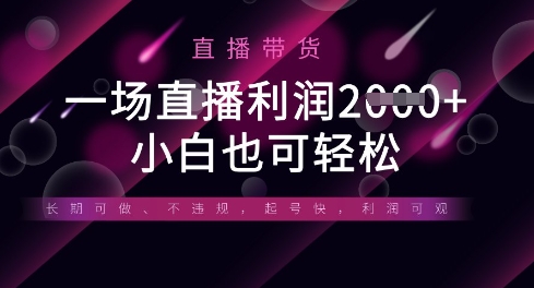 半无人直播带货，一场利润数张，适合所有平台玩法，小白也可轻松-E六资源
