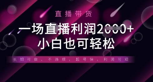 图片[1]-半无人直播带货，一场利润数张，适合所有平台玩法，小白也可轻松-E六资源
