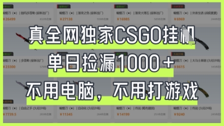 真全网独家CSGO挂G，单日捡漏1k+-E六资源