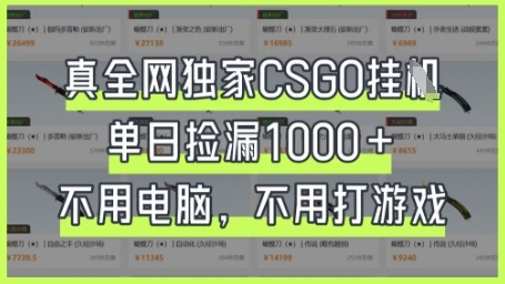 图片[1]-真全网独家CSGO挂G，单日捡漏1k+-E六资源