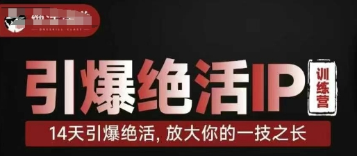 引爆绝活IP训练营，14天引爆绝活，放大你的一技之长-E六资源