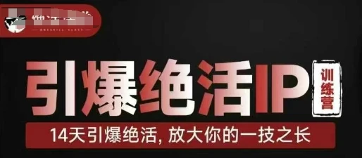 图片[1]-引爆绝活IP训练营，14天引爆绝活，放大你的一技之长-E六资源