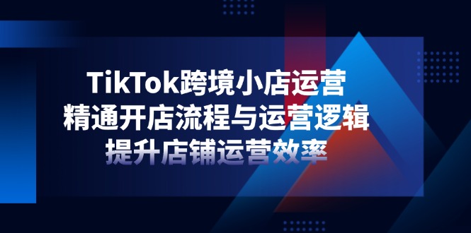 TikTok跨境小店运营，精通开店流程与运营逻辑，提升店铺运营效率-E六资源