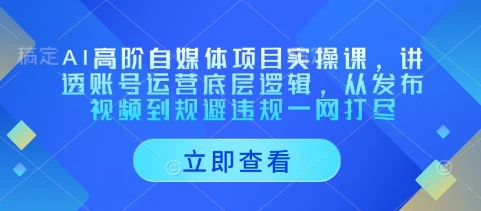 图片[1]-AI高阶自媒体项目实操课，讲透账号运营底层逻辑，从发布视频到规避违规一网打尽-E六资源