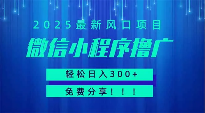 图片[1]-微信小程序撸广，最新风口项目，日入300+ 免费分享 可批量操作 小白可…-E六资源