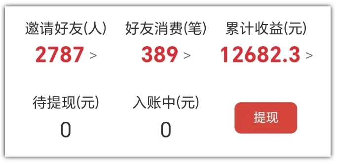 图片[2]-2025网盘拉新项目独家玩法，靠主项目支线做出全自动收益-E六资源