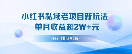 图片[1]-小红书私域项目新玩法，单月变现过W+-E六资源