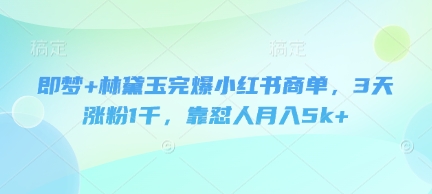 即梦+林黛玉完爆小红书商单，3天涨粉1千，靠怼人月入5k+-E六资源