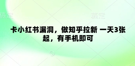 卡小红书漏洞，做知乎拉新 一天3张起，有手机即可-E六资源