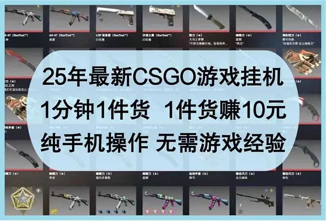 图片[1]-25年最新CSGO游戏挂机，1分钟1件货，1件货赚10元 纯手机操作 无需游戏经验-E六资源