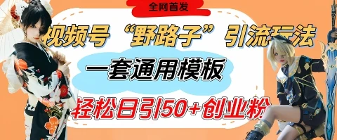 图片[1]-视频号“野路子”玩法，评论区疯狂截流，一套模板单日单号引流50+创业粉-E六资源