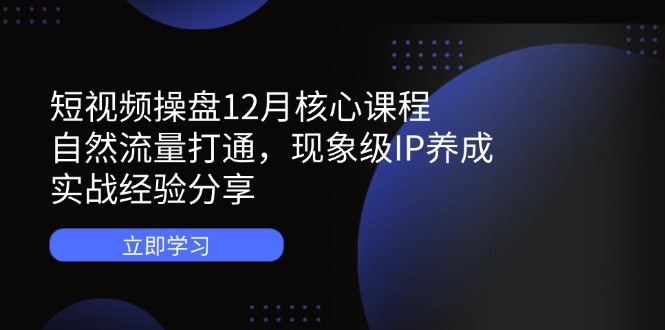 短视频操盘12月核心课程：自然流量打通，现象级IP养成，实战经验分享-E六资源