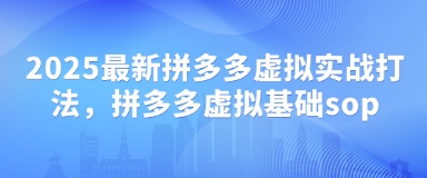 2025最新拼多多虚拟实战打法，拼多多虚拟基础sop-E六资源