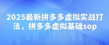 图片[1]-2025最新拼多多虚拟实战打法，拼多多虚拟基础sop-E六资源