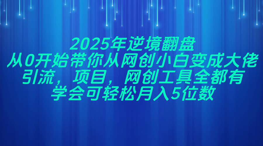 2025年逆境翻盘，从0开始带你从网创小白变成大佬，引流，项目，网创工…-E六资源