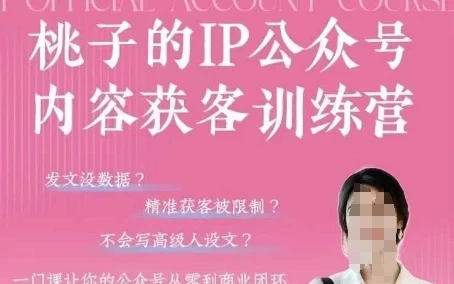 图片[1]-桃子IP公众号内容获客训练营(第3期)，一门让你公众号从0到商业闭环的课程-E六资源