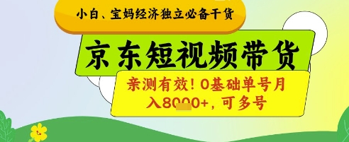 小白宝妈经济独立必备干货，京东短视频带货，亲测有效!0基础单号月入8k+，可多号-E六资源