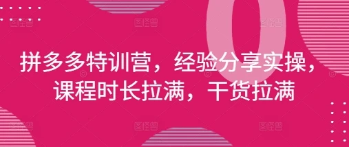 图片[1]-拼多多特训营，经验分享实操，课程时长拉满，干货拉满(更新25年4月)-E六资源