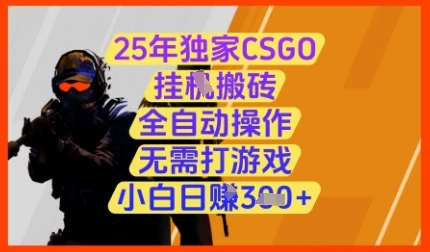 图片[1]-25年独家CSGO挂G搬砖，全自动操作，无需打游戏，小白日入3张+-E六资源