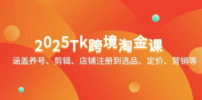 2025Tk跨境淘金课：涵盖养号、剪辑、店铺注册到选品、定价、营销等-E六资源