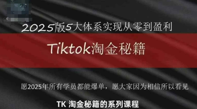 TikTok跨境2025淘金秘籍，​2025TikTok从0到盈利变现-E六资源