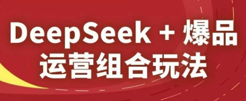 DeepSeek+爆品运营组合玩法，2025淘系精品课-E六资源