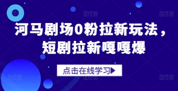 河马剧场0粉拉新玩法，短剧拉新嘎嘎爆-E六资源