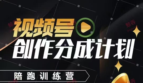 视频号创作分成计划陪跑训练营，手把手教会你如何制作视频，细水长流型项目-E六资源