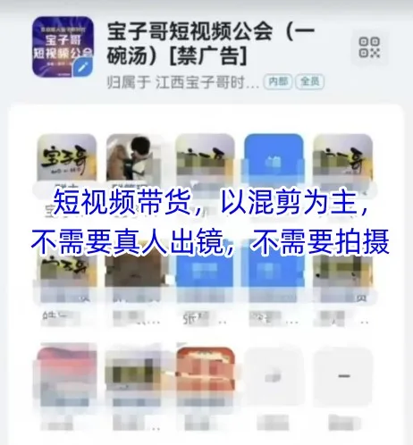 图片[1]-宝子哥头部团队短视频带货，以混剪为主，不需要真人出镜，不需要拍摄-E六资源