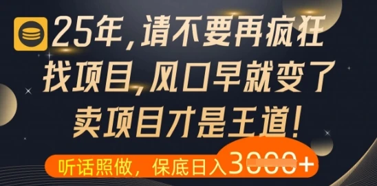 图片[1]-什么？25年你还在疯狂找项目做，醒醒吧，看完这些你全都懂了-E六资源